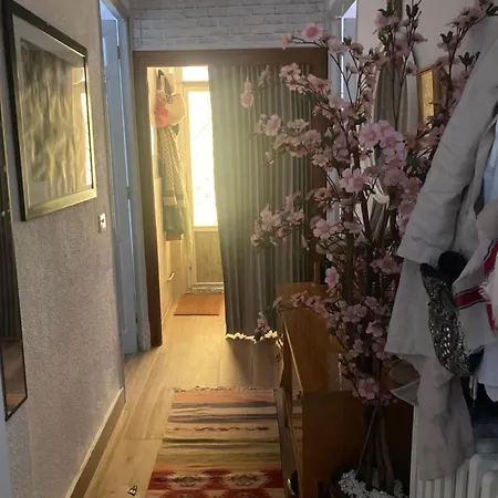 Сasa de vacaciones Casa Effata *